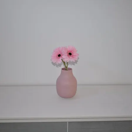 Esmeralda * 普拉亚布兰卡